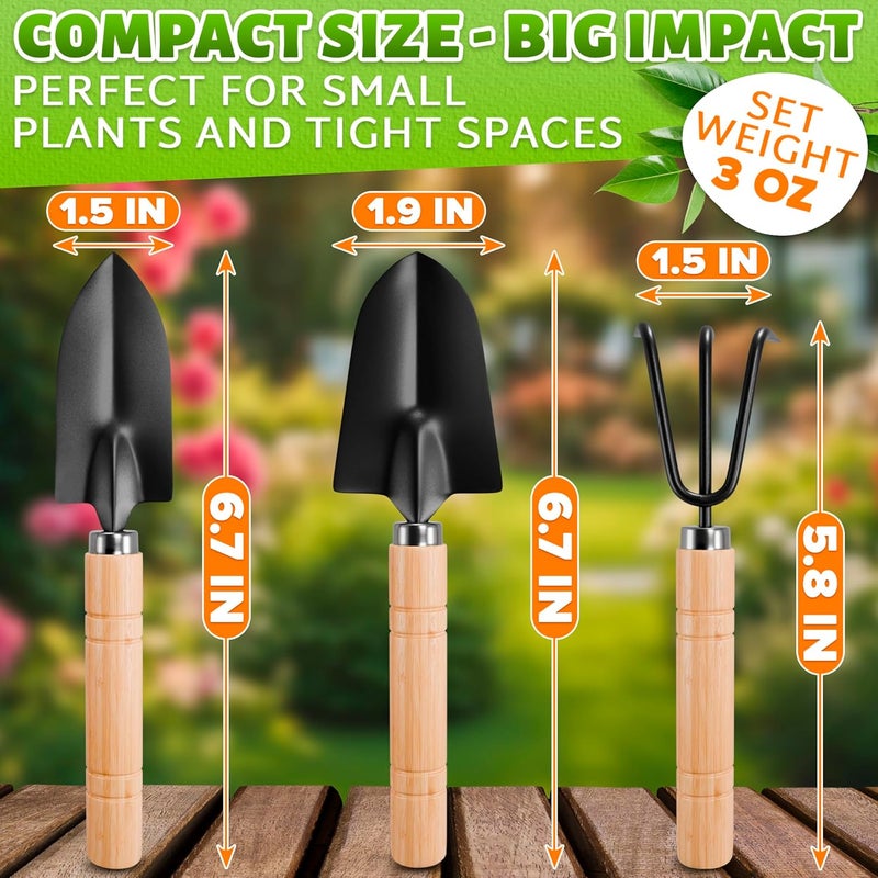DIMROM Small Garden Tools - 3 Pcs Mini Garden Tools Set with Small Trowel, Mini Shovel & Hand Rake Made of Rust-Resistant Iron & Solid Wood - Indoor Gardening Tools Set for Succulent, Bonsai & Pot Plants - Image 2